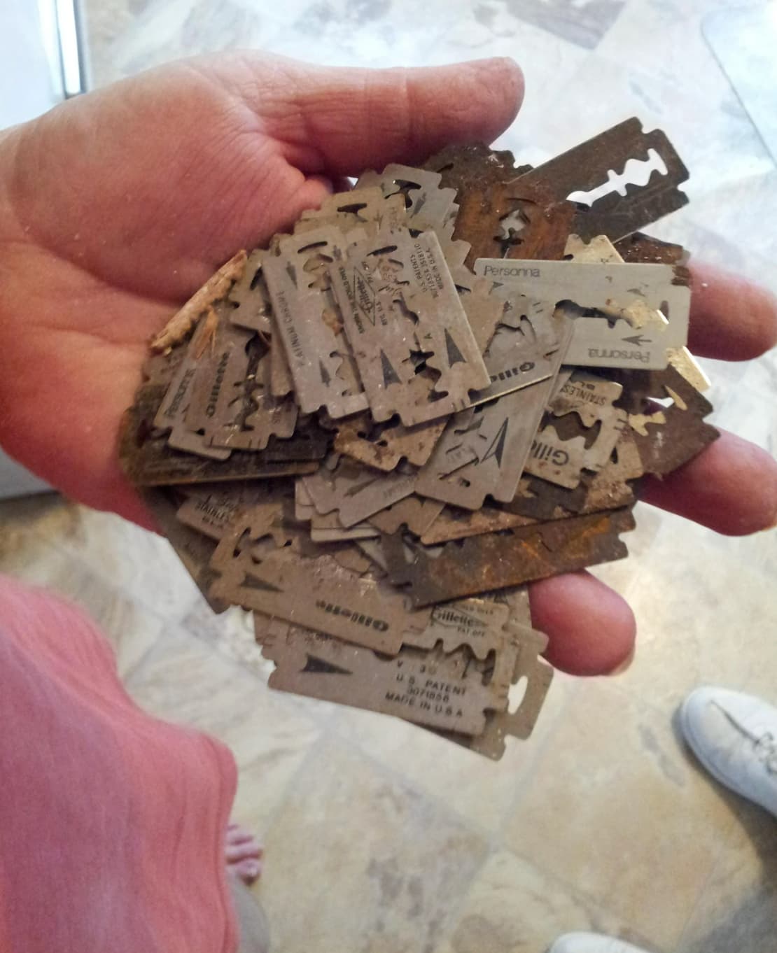 “Remodeling my room, found these inside the wall. There were about 200+ in total.”